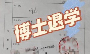 退学的博士生们：有人患上精神疾病，有人认为健康第一、及时止损