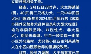 当地通报“成都一男子领3只烈犬撕咬小猫并抛尸”：道歉并作出补偿